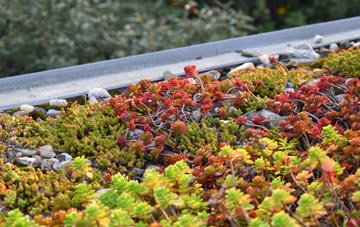 the cost of Kingswood Brook green roof installation