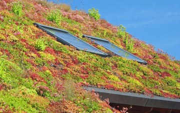 Kingswood Brook living roof systems